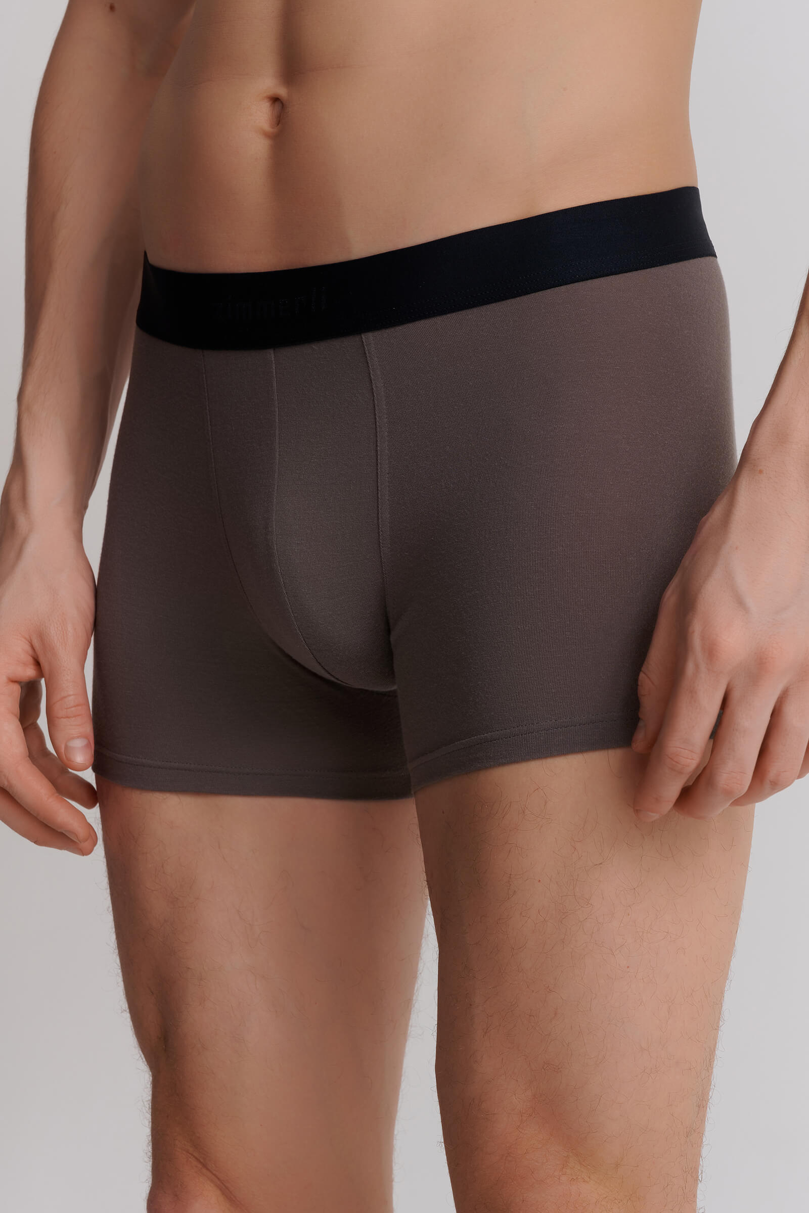 Трусы транки из микромодала Бренд Zimmerli Изображение 2
