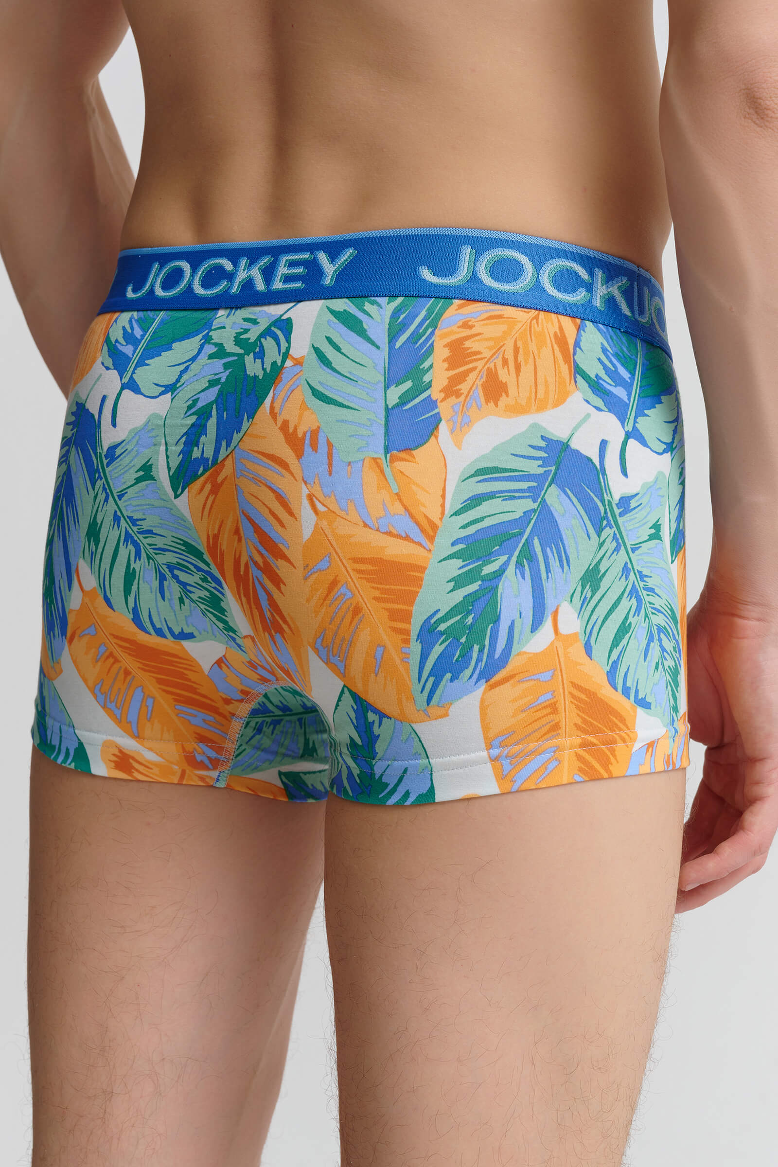 Хлопковые трусы транки с логотипом на поясе Бренд Jockey Изображение 3