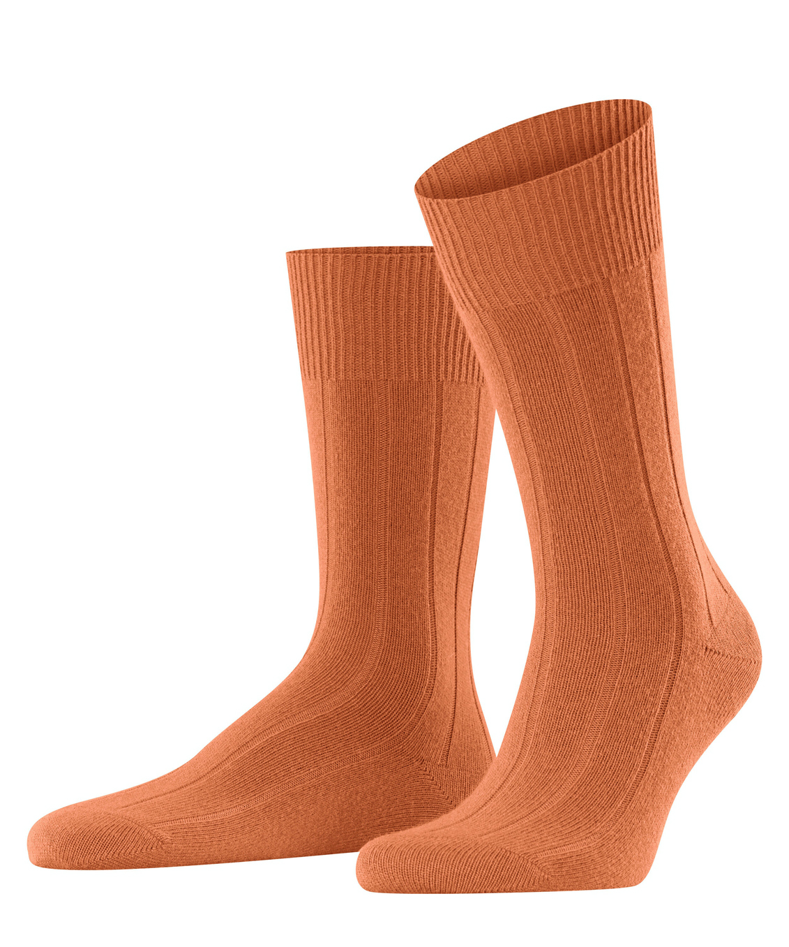 Мужские носки FALKE Lhasa Rib Бренд Falke