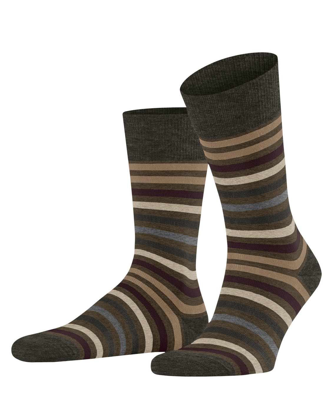 Мужские носки FALKE Tinted Stripe Бренд Falke