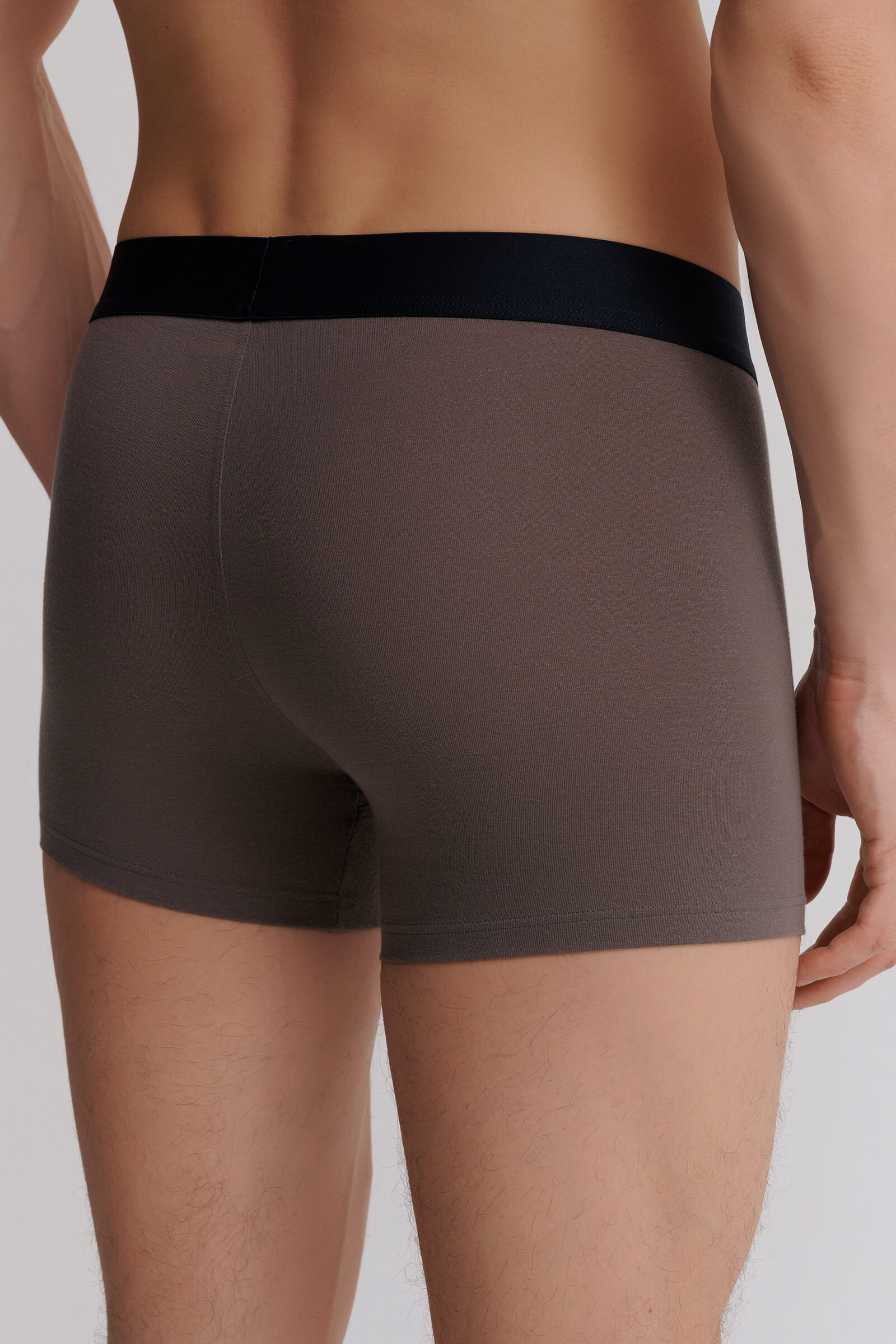 Трусы транки из микромодала Бренд Zimmerli Изображение 3