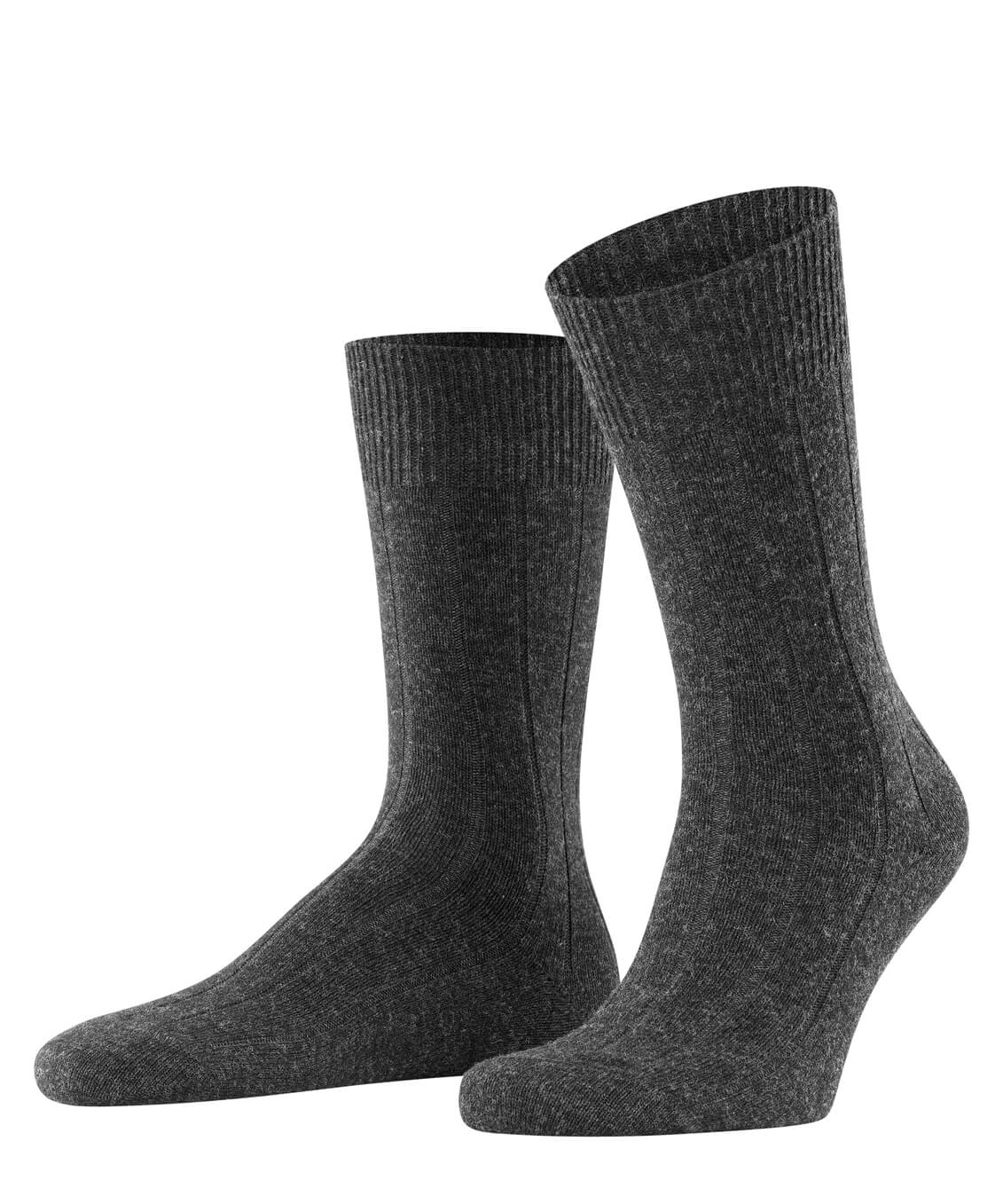 Мужские носки FALKE Lhasa Rib Бренд Falke