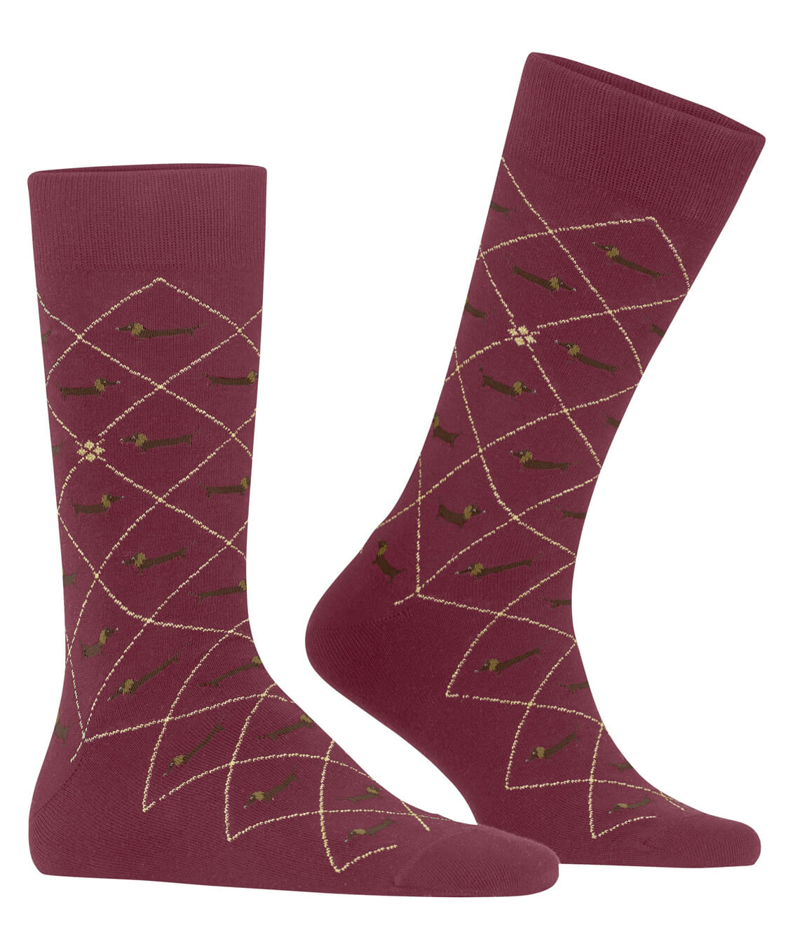 Мужские носки Burlington Dachshund Бренд Burlington Изображение 5