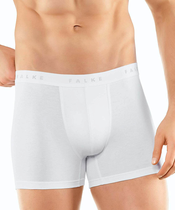 Мужские боксеры-брифы Daily Climate Control Бренд Falke