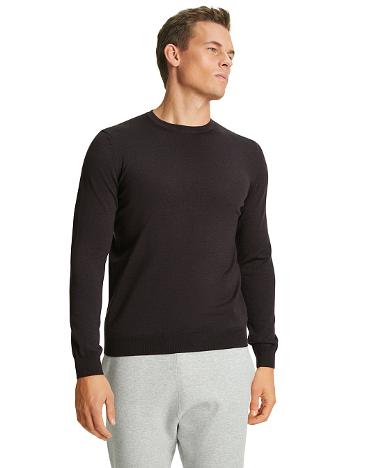 Мужской джемпер FALKE Бренд Falke