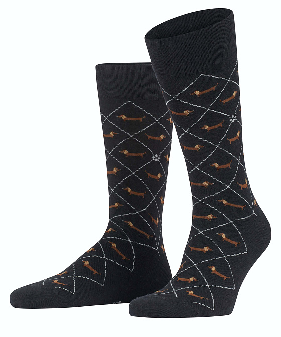 Мужские носки Burlington Dachshund Бренд Burlington