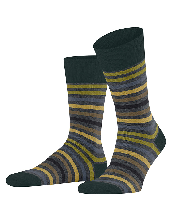 Мужские носки FALKE Tinted Stripe Бренд Falke