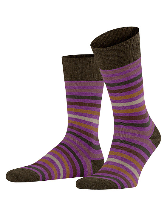 Мужские носки FALKE Tinted Stripe Бренд Falke