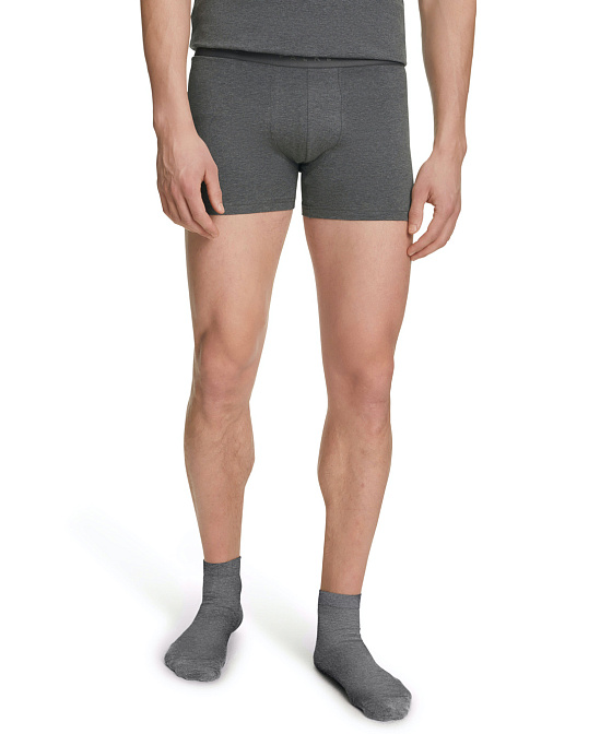 Комплект мужских боксеров-брифов FALKE Daily Comfort 2-Pack Бренд Falke
