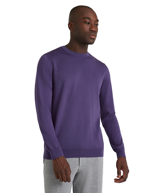 Мужской джемпер FALKE Бренд Falke