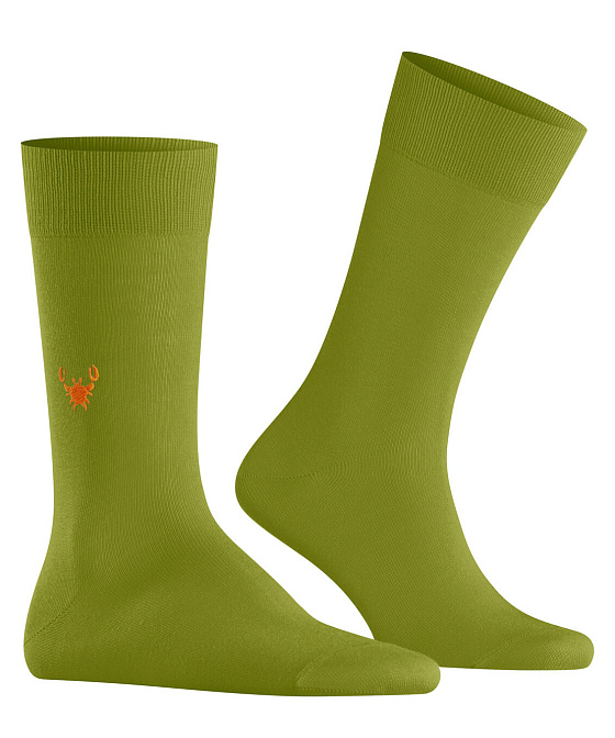 Мужские носки Burlington Brit Style Бренд Burlington