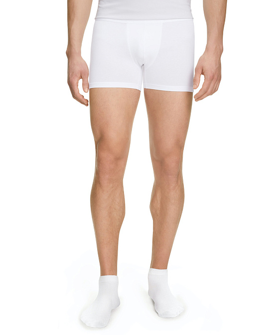 Мужские боксеры-брифы FALKE Climate Control Бренд Falke