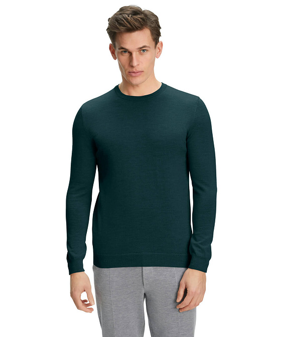 Мужской джемпер FALKE Бренд Falke