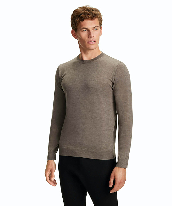 Мужской джемпер FALKE Бренд Falke