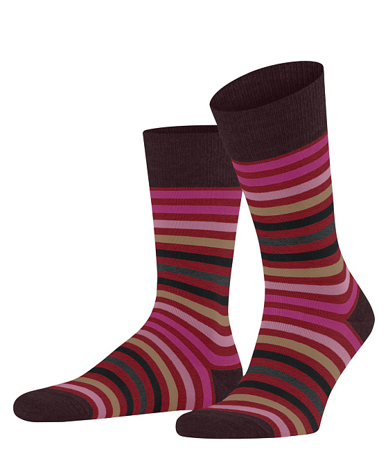 Мужские носки FALKE Tinted Stripe Бренд Falke